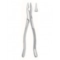 Dental Instruments
