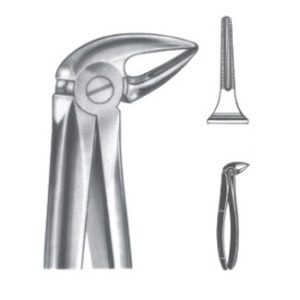 Extracting Forceps - English Pattern
