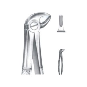 Extracting Forceps - English Pattern