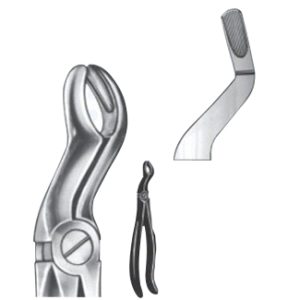 Extracting Forceps - English Pattern