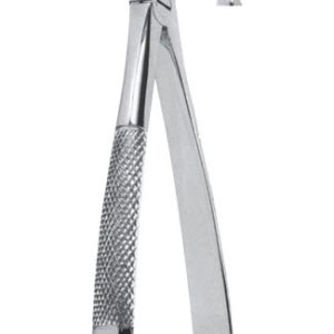 Extracting Forceps - English Pattern