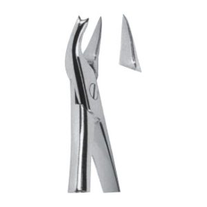 Extracting Forceps - English Pattern
