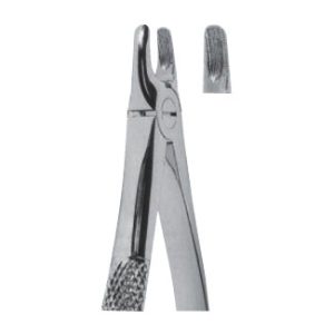 Extracting Forceps - English Pattern