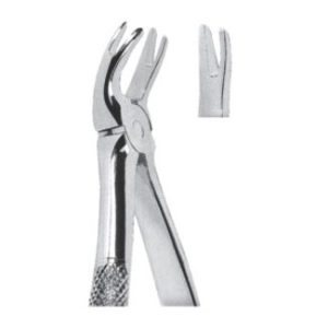 Extracting Forceps - English Pattern