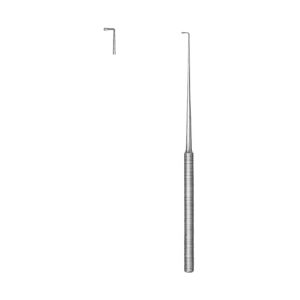 Ear Hooklet