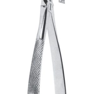 Extracting Forceps - English Pattern