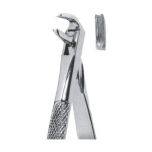 Extracting Forceps - English Pattern