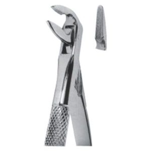 Extracting Forceps - English Pattern