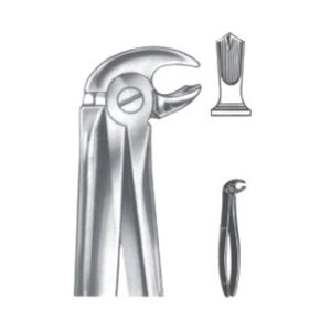 Extracting Forceps - English Pattern