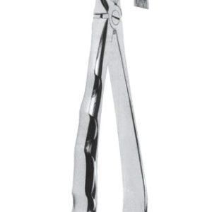 Extracting Forceps - Mead Pattern